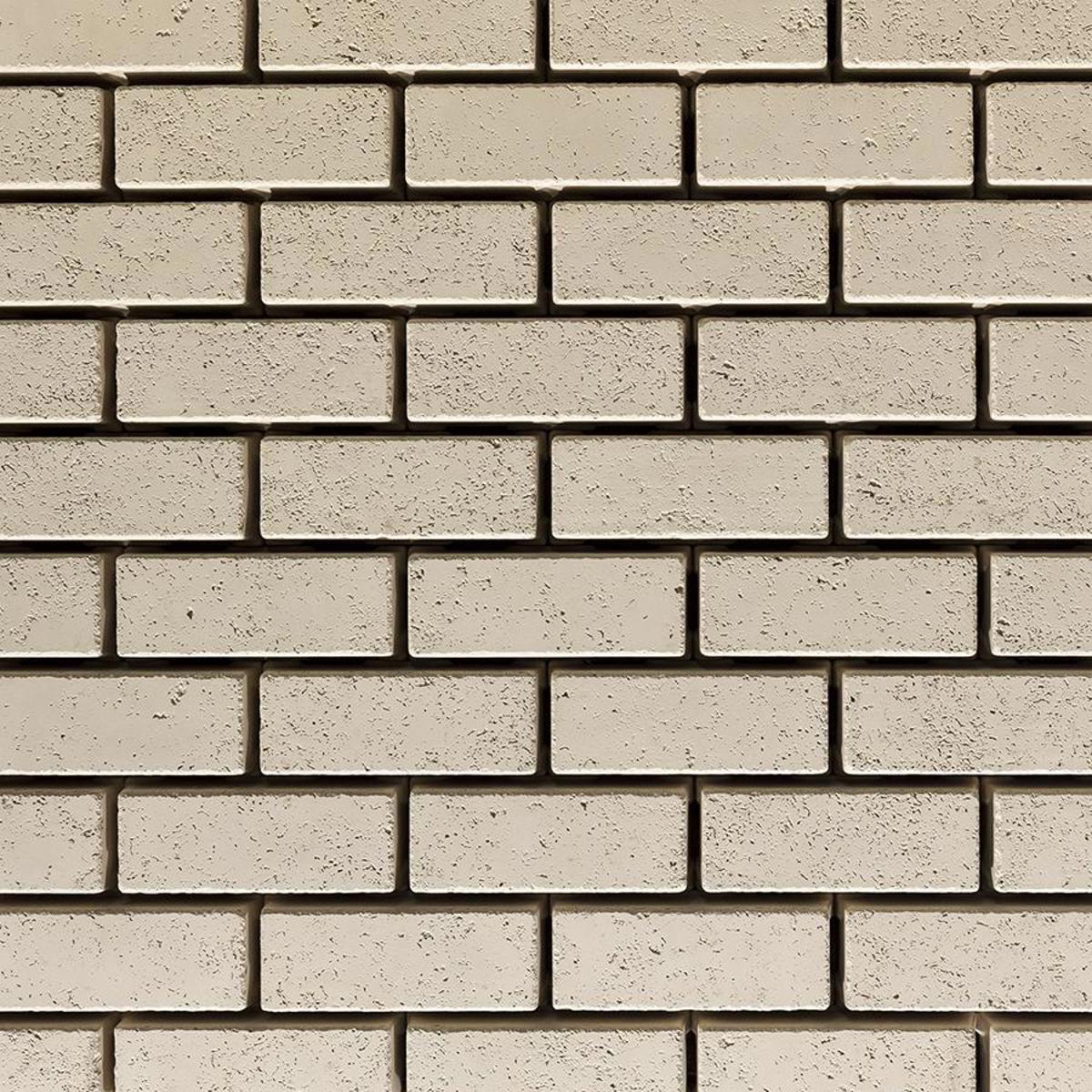 Travertina Raw Pavers