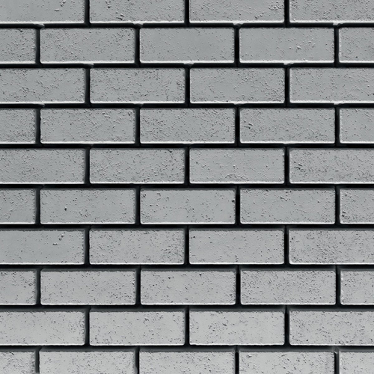 Travertina Raw Pavers