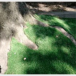 Artificial grass - accessories, artificial grass, fabrics and grids, landscaping products