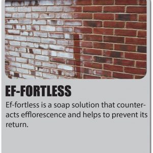 Ef Fortless product