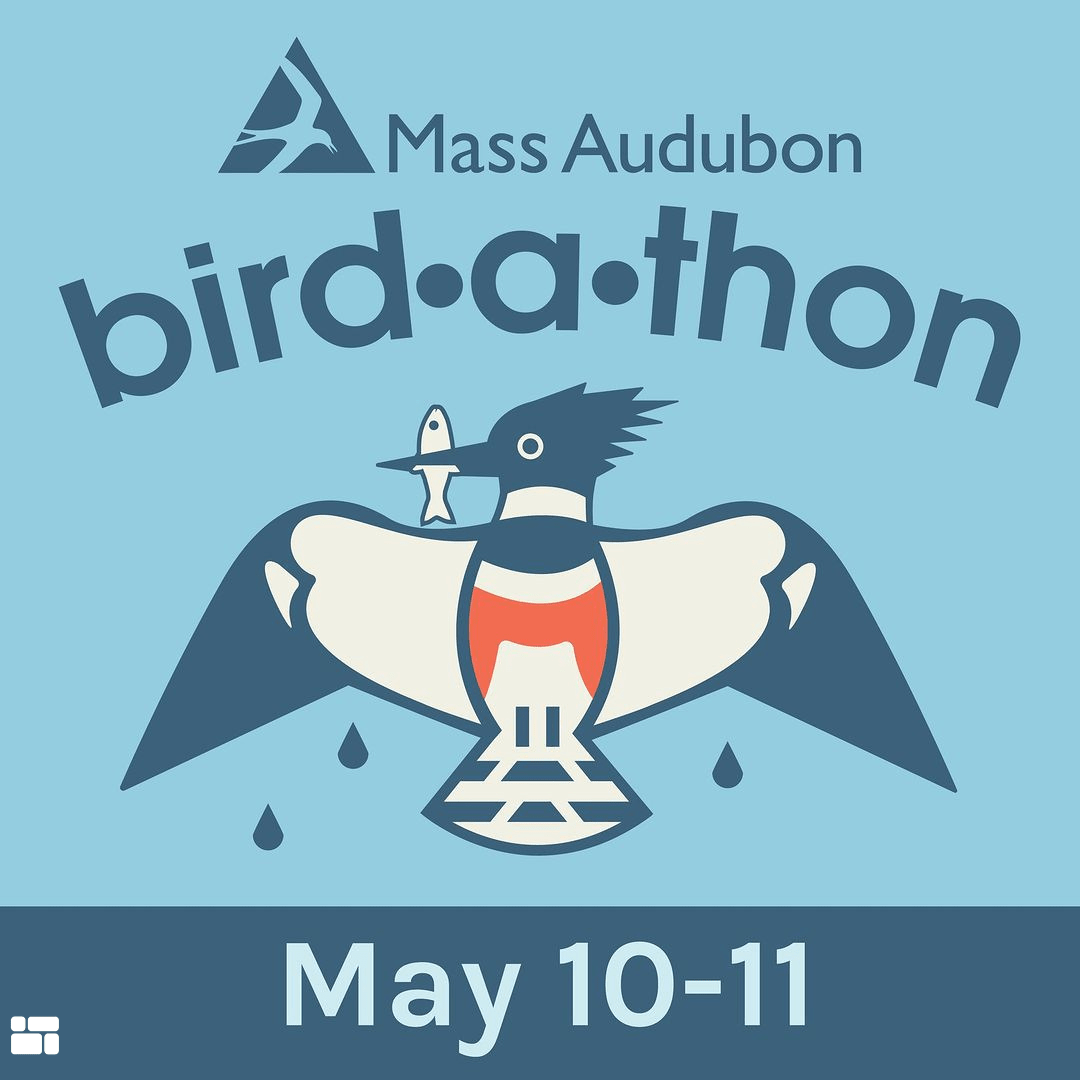 May 10-11: Mass Audubon Bird-a-thon – All Families Welcome!